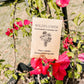 Seed Packets